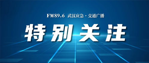 知識產(chǎn)權(quán)保護納入全市營商環(huán)境評價體系 武漢建設(shè)全國一流知識產(chǎn)權(quán)強市