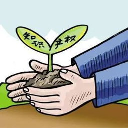 我國知識產(chǎn)權(quán)服務(wù)企業(yè)的經(jīng)營策略建議