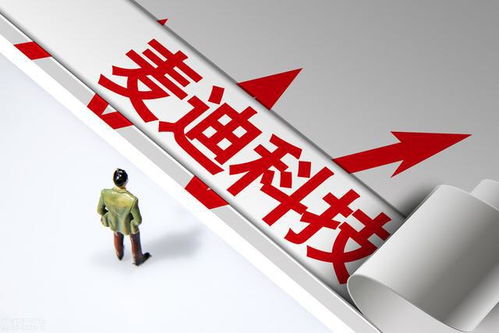 A股國(guó)產(chǎn)軟件低估值龍頭公司一覽（附知識(shí)產(chǎn)權(quán)服務(wù)領(lǐng)域名單）